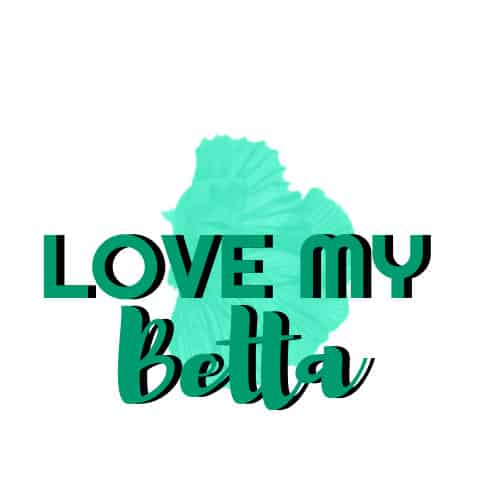 LoveMyBetta