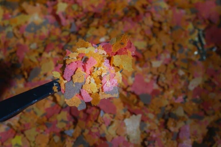 pet fish flakes